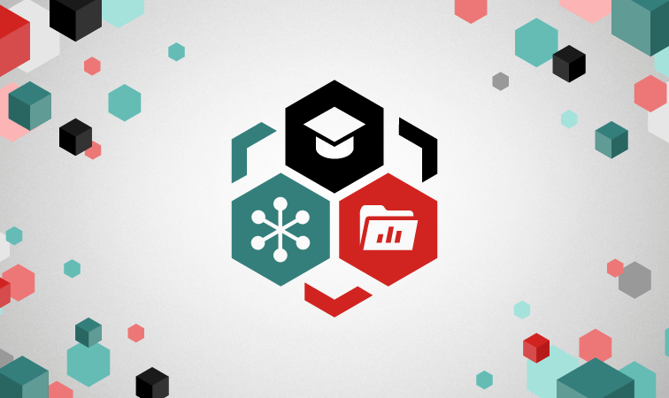 Data Organisation data